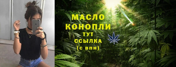 mix Богородицк