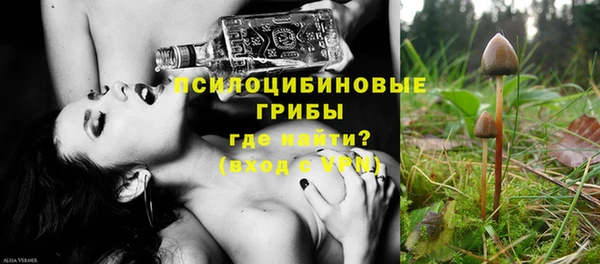 mix Богородицк